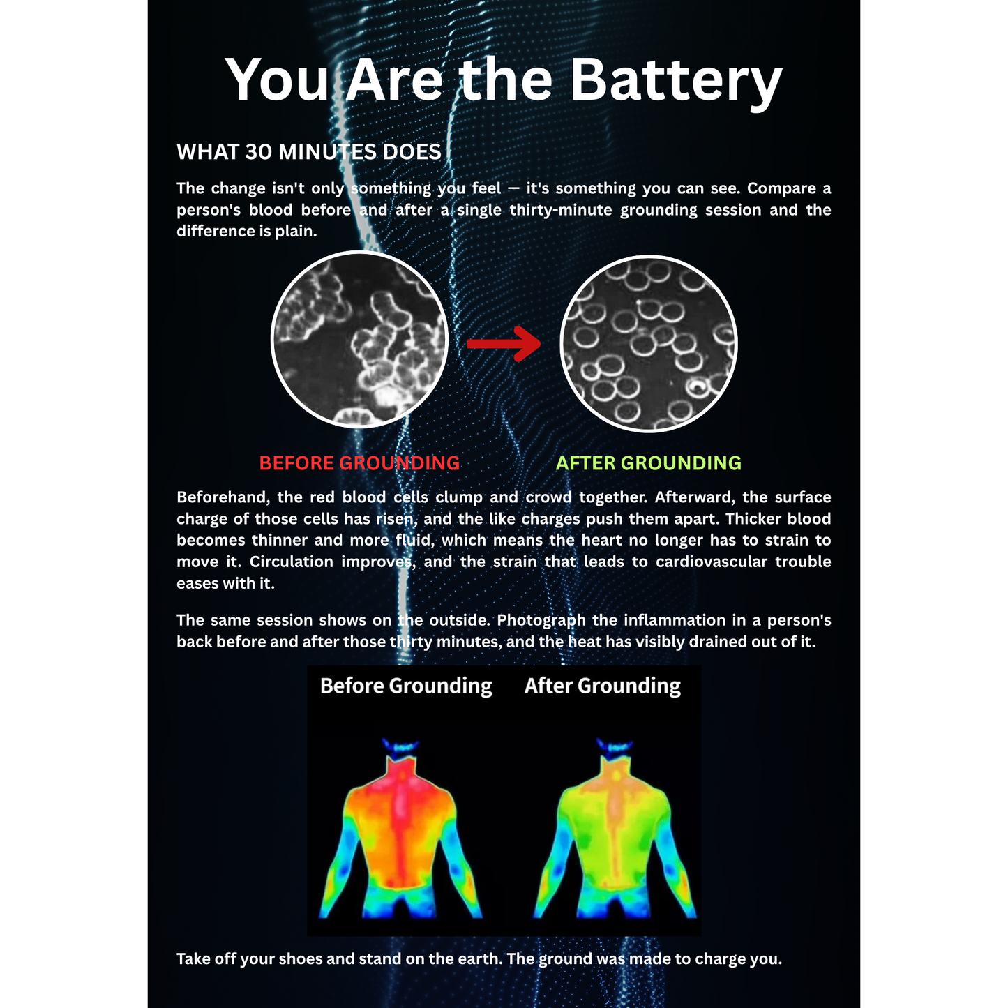 The Health Book (E-Book)