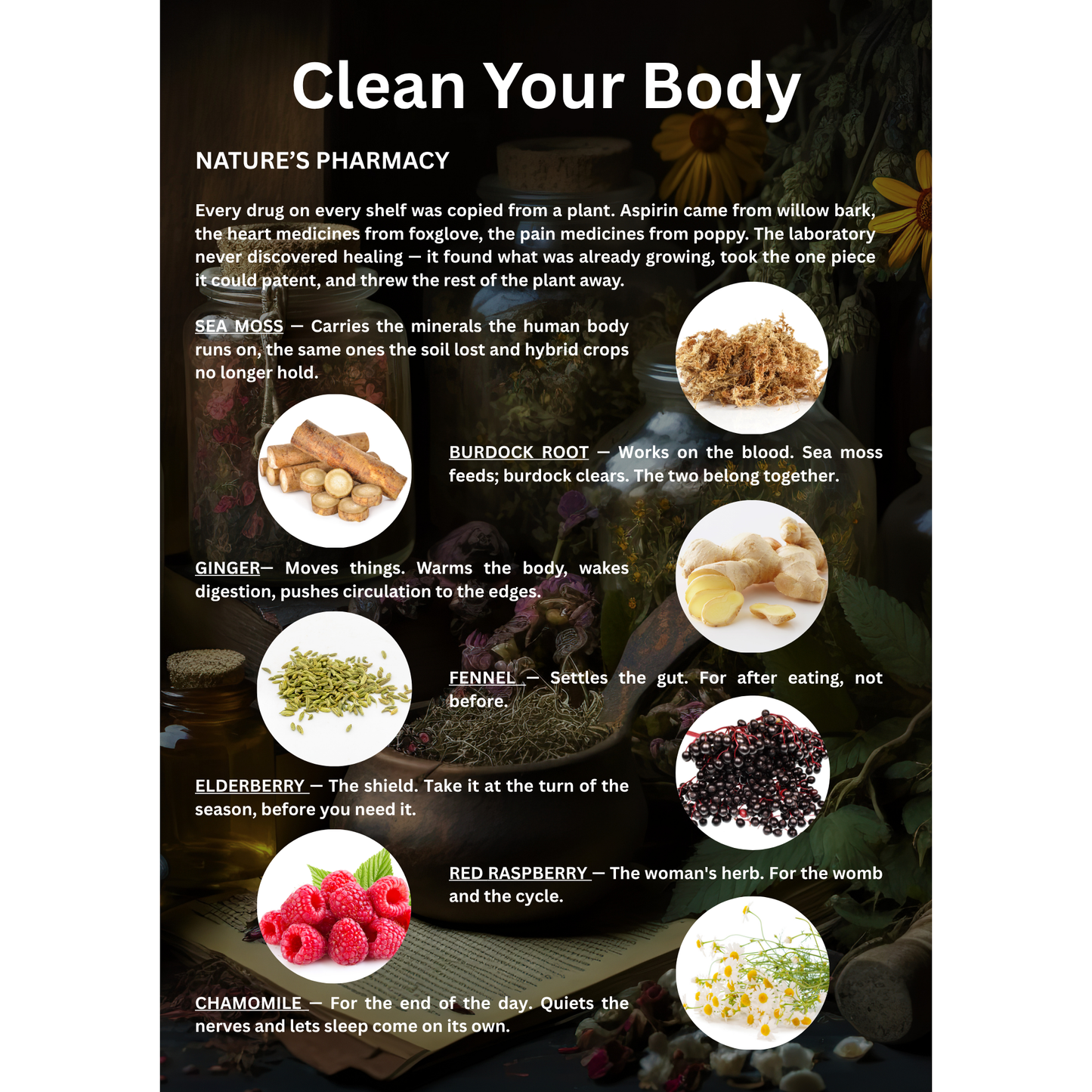 The Health Book (E-Book)