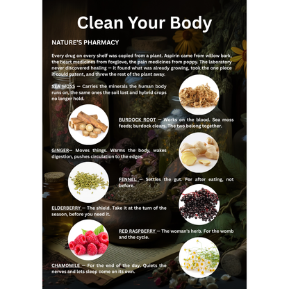 The Health Book (E-Book)