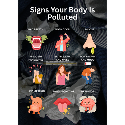 The Health Book (E-Book)