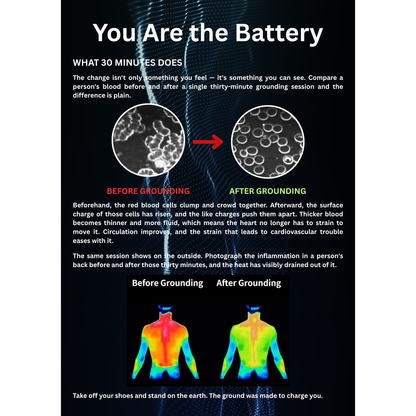 The Health Book (E-Book)
